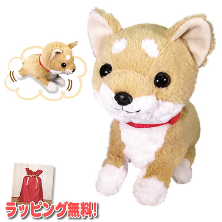 楽天市場 柴犬グッズ 柴犬 ぬいぐるみ 動くぬいぐるみ 包装無料 あそぶの大好き 柴犬 まめ太 ワンちゃん 可愛い犬の動くぬいぐるみ Ost しゃべる犬 クリスマス プレゼント 動くおもちゃ しゃべる 雑貨 動く マツカメショッピング
