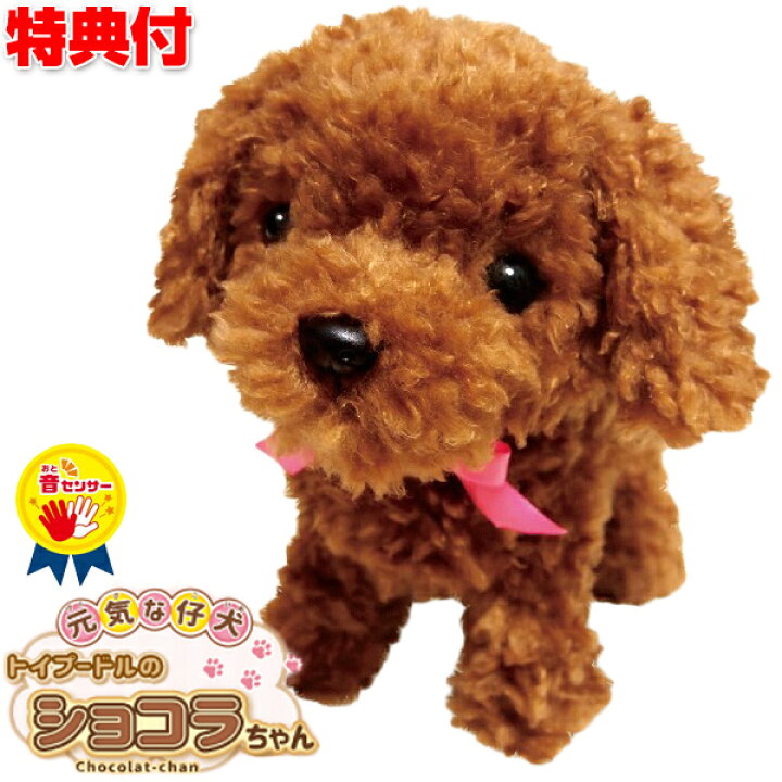 楽天市場 クーポン配布中 元気な仔犬 トイプードルのショコラちゃん 包装無料 可愛い犬の 動くぬいぐるみ 癒しロボット おしゃべりぬいぐるみ 動くおもちゃ トイプードル クリスマス 誕生日 プレゼント トイプー ぬいぐるみ クリスマス プレゼント 誕生日 子供