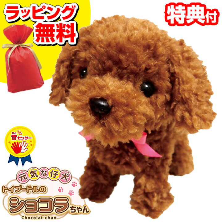 楽天市場 元気な仔犬 ぬいぐるみ トイプードルのショコラちゃん 包装無料 可愛い犬の 動くぬいぐるみ ロボット おしゃべりぬいぐるみ 動くおもちゃ ふわふわトイプードル 電子ペット 誕生日 トイプー ぬいぐるみ 子供 犬 クリスマスプレゼント マツカメショッピング