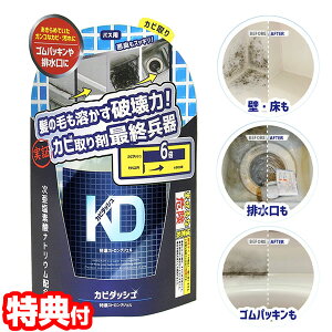 y11/102l1lő100%PzJr_bV ZXgOWF 500ml nPt 2wő𖳗ɕύX Jr C|  Jr JrWF  JrƂ Jr_