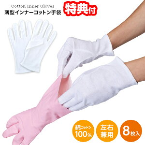 y12/12l1lő100%Pz^Ci[Rbg 8 A-02 Ep Ȏ 100 nh ی  SnǂSɂ100%̔^ S܃A_[  Ci[ 