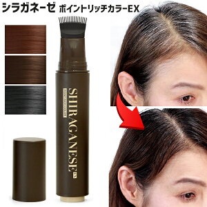 【2日間限定抽選で全額クーポン】シラガネーゼ ポイントリッチカラーEX 店長使用体験記載 簡単白髪染め 使用する度に徐々に髪が染まる ヘアカラー 白髪染めです 白髪ねーぜ 白髪ネーゼ シ
