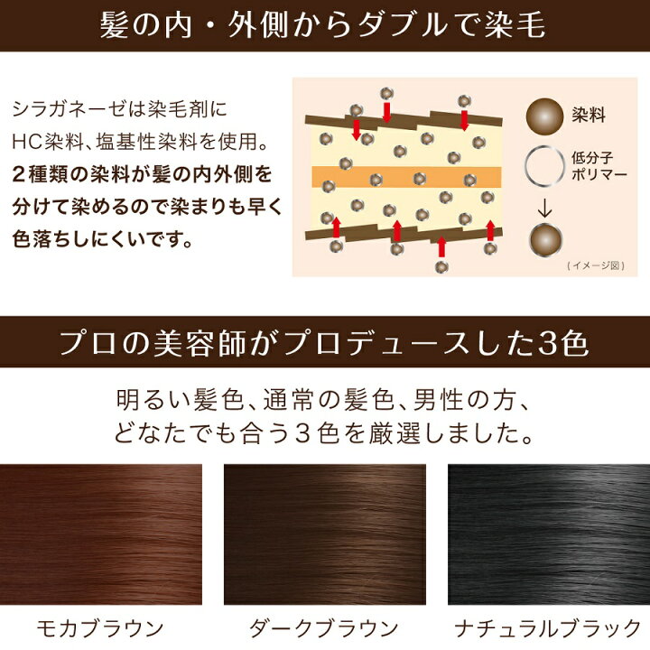 楽天市場 00円クーポン配布中 シラガネーゼ ポイントリッチカラーex 2個セット 使用する度に徐々に髪が染まる白髪染めです 白髪ねーぜ 白髪ネーゼヘアカラー モカブラウン ダークブラウン ナチュラルブラック マツカメショッピング