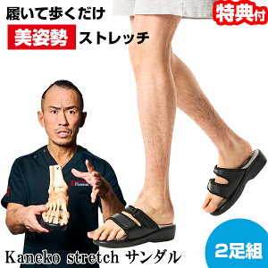 y2Ԍ蒊IőSzN[|zyIԌiiz 2Zbg q p Xgb`T_ Kaneko stretch Xgb`T_ hSg[i[ p Xbp T_ rT_