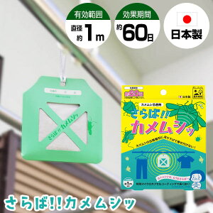 y2Ԍ蒊IőSzN[|z!!JVb 1 JV JV Op JV ݂艺 1 EXv[ JVN h~ \h    x_  