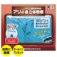 【5/20限定2人に1人最大100%P】アリ観察セット アリ伝説 後継品 アリの巣 観察飼育セット アリ飼育セット…