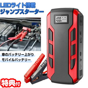 b̕i LEDCg WvX^[^[ 8000mAh obe[`[W[  obe[オ oCNobe[ GWX^[^[ obe[[d oCobe[ J[pi J[