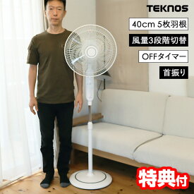 【8/15限定2人に1人最大100%P】【選ぶ景品】 テクノス 40cm5枚羽根 リビング扇風機 KI-F401 最大148cm フロアー扇風機 大型フロアー扇風機 大風量 節電扇風機 大風量 サーキュレーター ファン 扇風器 ハイポジション 扇風器 冷風機 リビングファン リビング送風機 冷風機