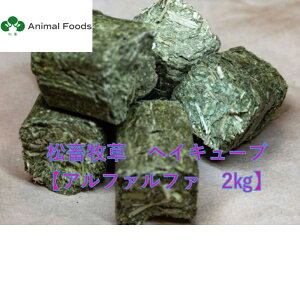 {q wCL[u / At@t@ USY 2kg yE``EbgEfO[Ȃǂ̖̏qz