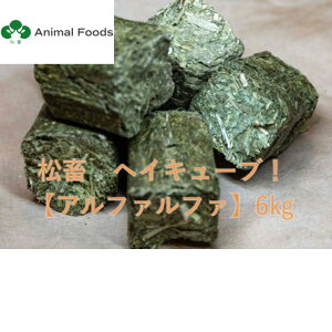 {q wCL[u / At@t@ USY 6kg yE``EbgEfO[Ȃǂ̖̏qz