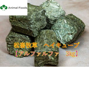 {q wCL[u / At@t@ USY 3kg yE``EbgEfO[Ȃǂ̖̏qz