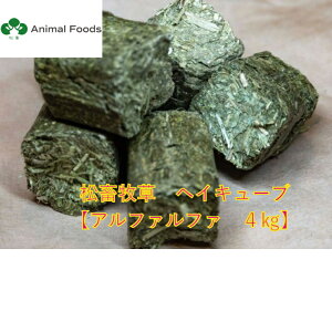 {q wCL[u / At@t@ USY 4kg yE``EbgEfO[Ȃǂ̖̏qz