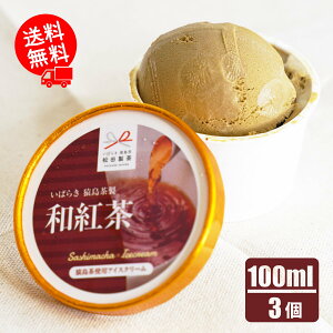 ỹACXzag  ACXZbg XC[cMtg MtgΉ\ fU[g J v~AACX yY v[g Ԃ ICE-003