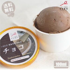 ŷXC[czACXN[ Z `Rag  fU[g  錧 㒬 c 100ml ō XC[c  v[g  Ε yY 