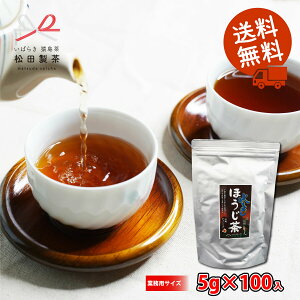 o  eB[obO ق  5g 100 Ɩp 100 錧 ܒ { ubNA[`_@ ȒP  {iI }{ 蕨 yY v[g TBG-102