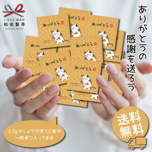 ypbNz傤ق^2.5g eB[obO  v`Mtg v`v[g 킢 ݂炵 ق̋C v[g  NbN|Xg Mtg TBG-036