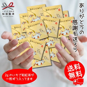 ypbNzag^2g eB[obO  v`Mtg v`v[g 킢 ݂炵 ق̋C v[g  NbN|Xg Mtg TBG-034