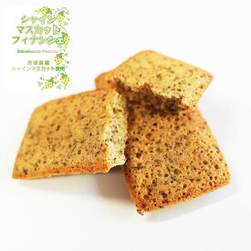 【新発売】シャインマスカットフィナンシェ 和紅茶 猿島茶 お茶のスイーツ ティータイム お菓子 甘味 松田製茶 FNC-007