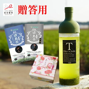 yMtgEpztB^[C{g P^85g & `^85g c ԏi Mtg lΉł܂ IV X^CbV  Ε j Ԃ GFT-033