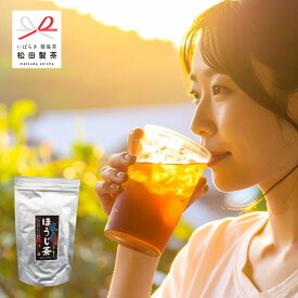 【1200円ポッキリ 】水出しほうじ茶／5g×50 マラソン対象 日本初輸出の猿島茶 送料無料 お茶 ティーバッグ 松田製茶 お徳用 大容量 焙じ茶 ティーパック お得用 冷茶 業務用 まかない オフィス 深むし茶 深蒸し茶 緑茶 日本茶 買い回り TBG-052