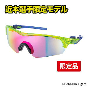 싅 TOX  XY ~[ TOX _ ^CK[X ߖ{f SWANS