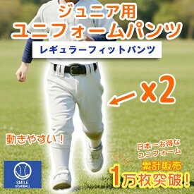 【メール便送料無料】少年野球 野球 ユニフォームパンツ 2本セット ひざ二重 レギュラー 小学生 幼稚園 軽量 キッズ 練習 スマイルデッドボール ズボン
