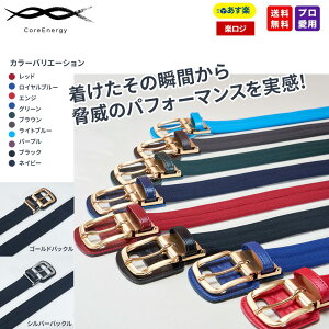 싅 xg RAGiW[3 NEWf CGB030 RAEeNmW[ K̔X v싅 ubN lCr[ C bh RAGiW[xg gc  Ng  @ WCAc 