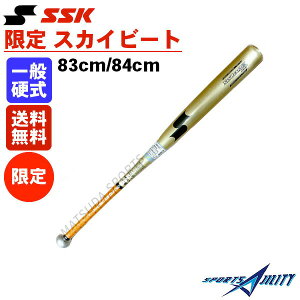 싅 obg  z ȏ wEq싅Ή GXGXPC XJCr[g 33K LSF d 胂f I[EhoX