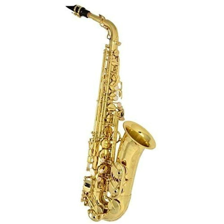 楽天市場】☆Yanagisawa / A-WO10 ヤナギサワ アルトサックス 