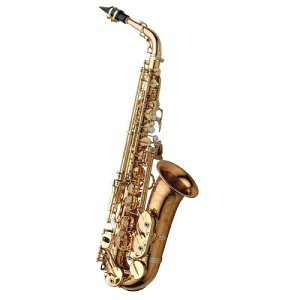 ☆Yanagisawa A-WO20 ヤナギサワ アルトサックス ダブルオーシリーズ ブロンズブラス ラッカー仕上