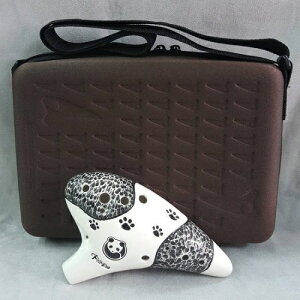 Focalink tH[JNIJi/AgF Panda/p_