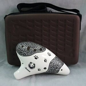 Focalink tH[JNIJi/oXC Panda/p_