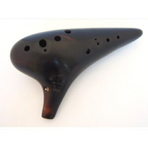 Focalink tH[JNIJi/oXC d