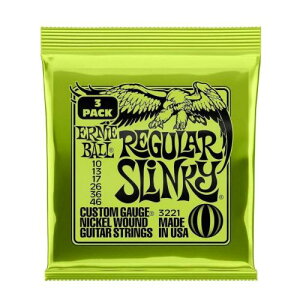 ErnieBall 3221 SLINKY SILVER 10-46@A[j[{[ GLM^[ 3SET