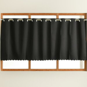 JtFJ[e Ռ h fM n mg[ 140cm 60cm o    x[W ubN ~g ˂_ ډB