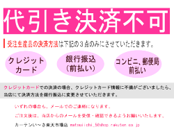 レースカーテンオーダーミラーレース幅45cm-300cm丈50cm-250cm1枚入エコリエオーダー断熱遮光UVカット遮像