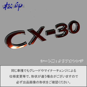 yzGutB ^Cv1CX-30 DM ԖGup GuXebJ[