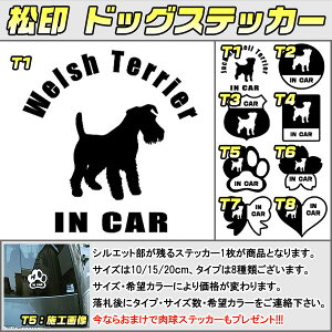 yzhbOXebJ[ XebJ[t EFVeA Welsh Terrier 3TCY 8^Cv 60J[ȏ  L In Car cat dog Ă܂ fJ[ ؂蔲 V[ VGbg ybg