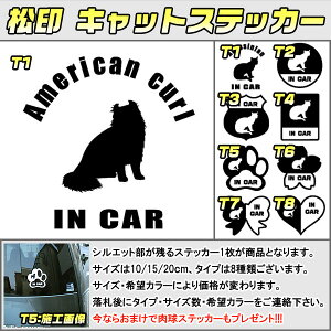 yzLbgXebJ[ XebJ[t AJ J[ American curl 3TCY 8^Cv 60J[ȏ  L In Car cat dog Ă܂ fJ[ ؂蔲 V[ VGbg ybg