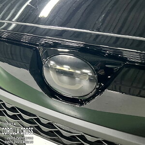 yzԎp GutB (tg) g^ J[NX ZSG10 ZVG11 ZVG13 ZVG15 ZVG16 MXGA10 nCubh