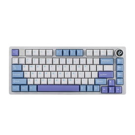 EPOMAKER x LEOBOG Hi75 アルミ合金製 ワイヤード メカニカルキーボード プログラマブル ガスケットマウント ゲーミングキーボード モード切替ノブ ホットスワップ対応 NKRO RGB(White Purple- MDA Profile