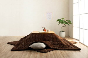 CPqRER[|[V zc Oh 205×245cm uE ` R[fC n RۖhL #6840119