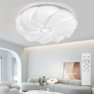 OOWOLF LEDV[OCg 10 4800lm  F Rt d铔 ₷݃^C}[ @\ 6E12 Ceiling Light k rO _CjO Q a 䏊 VƖ CT75