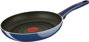 �O�����u���[ �v���~�A �t���C�p�� 27cm D55106