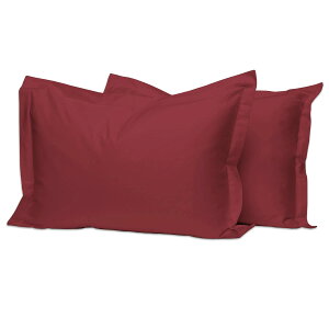 Pizuna RbgJo[400XbhJEg уOXe[v100TeD ʋC @Ő􂦂閍Jo[2s[X 50x75cm (Ibh)