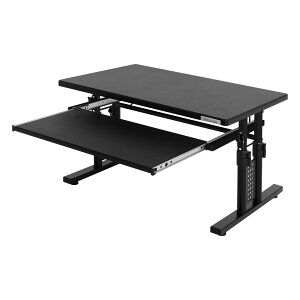 Bauhutte( バウヒュッテ ) ローデスク 昇降式 ゲーミングデスク ロータイプ ( 幅 70 × 奥行 45 高さ 39-49 cm ) ブラック BHD-700L