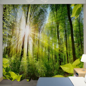 U-SITU �J�[�e�� ���J�� ���͋C �Ռ��J�[�e�� �f�M �h�� UV�J�b�g �C���e���A �|���o���� ���Ⴂ�� ������ �J���� �ъ� ���� ������� �ډB�� ���͋C�]�� �i�T�C�Y�F��170cm x ��100cm�i2���g�j�j�J