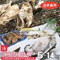 牡蠣 生牡蠣 生食用 殻付き牡蠣 宮城県産 真牡蠣 産地直送 旬 活 かき 生食用出荷は毎週月曜の検査結果次…