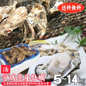 牡蠣 生食用 生牡蠣 殻付き牡蠣 宮城県産 真牡蠣 産地直送 旬 活 かき 生食用出荷は毎週月曜の検査結果次第 送料無料
