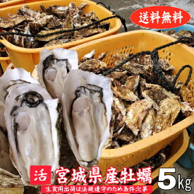 殻付き牡蠣 5kg 宮城県産 生食用出荷は毎週月曜の検査結果次第 産地直送 送料無料 旬 活 かき